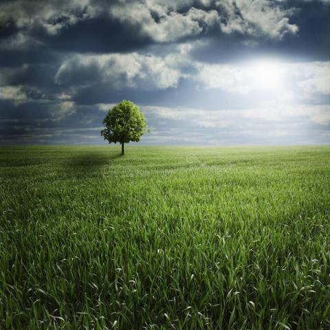 test img